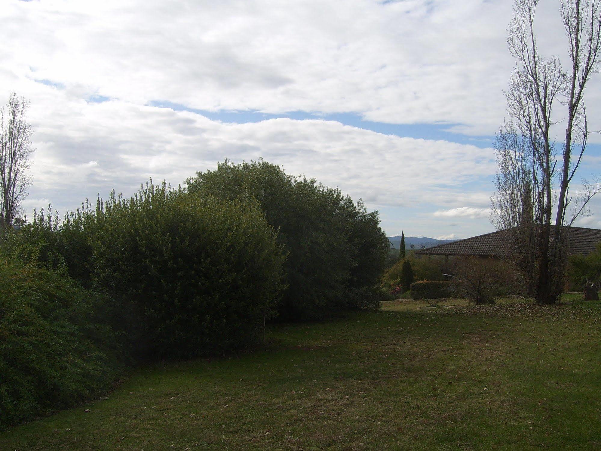 Garden Motor Inn Gundagai Kültér fotó