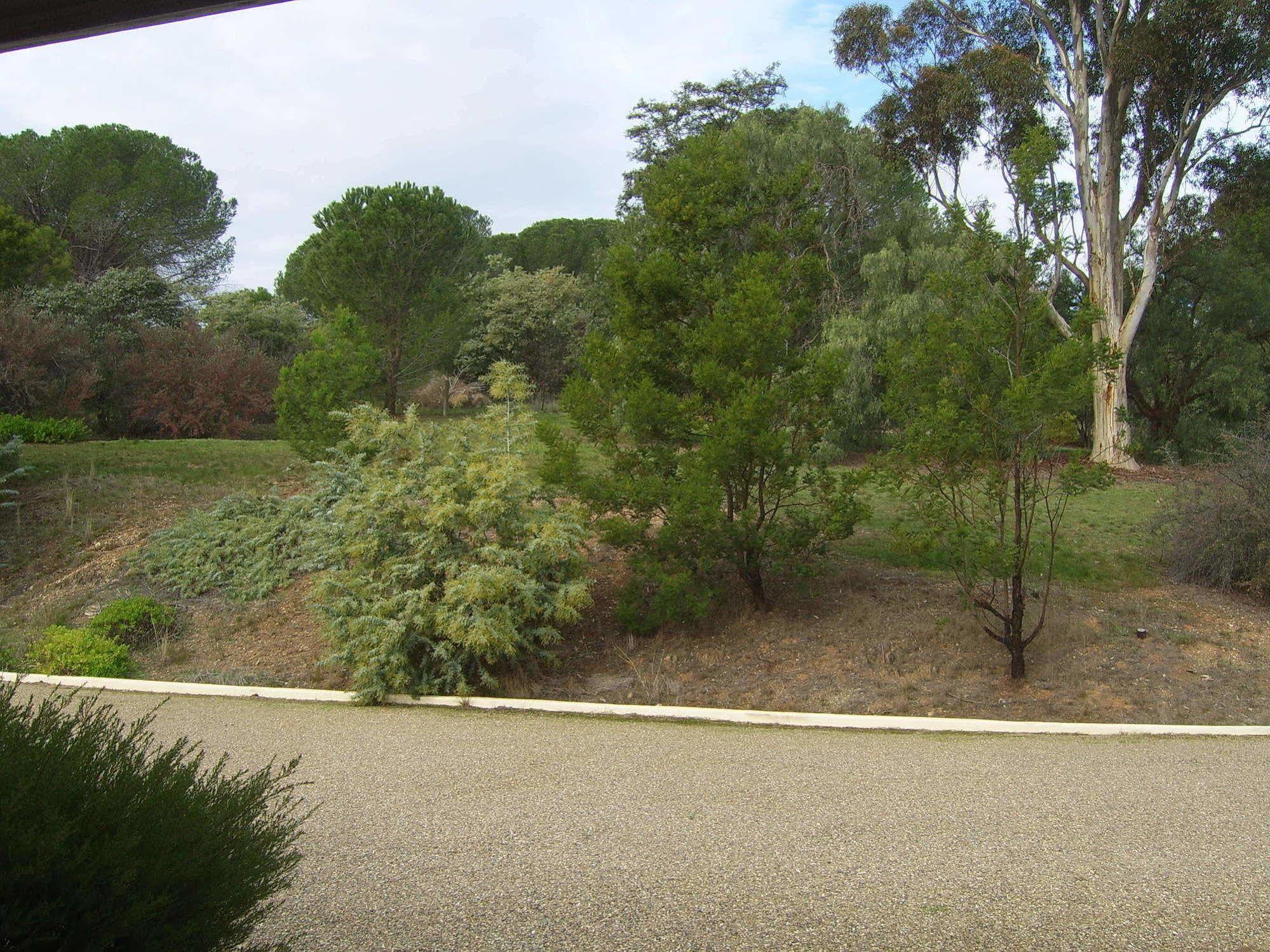 Garden Motor Inn Gundagai Kültér fotó